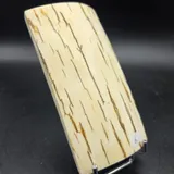 Pulpe de mammouth miniature 3