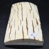 Pulpe de mammouth miniature 4