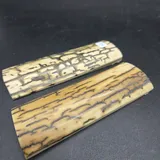 Écaille de mammouth miniature 3
