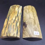 Écaille de mammouth miniature 1