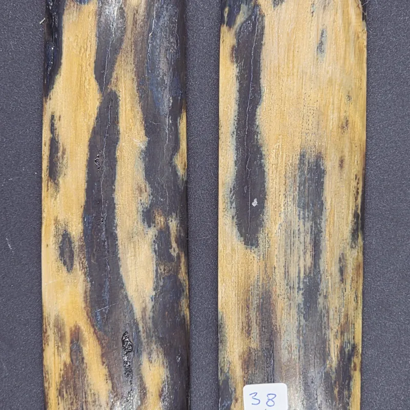 Écaille de mammouth — vue 3 sur 5