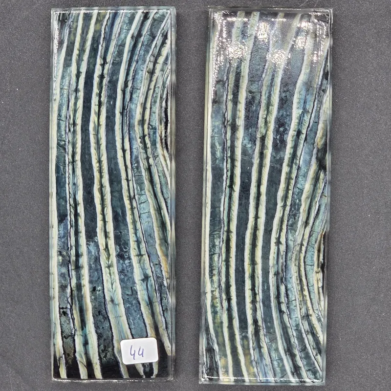 Molaire de mammouth stabilisée — vue 2 sur 2