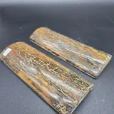 Écaille de mammouth miniature 3
