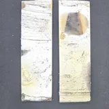 Écaille de mammouth miniature 5