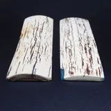 Écaille de mammouth miniature 3