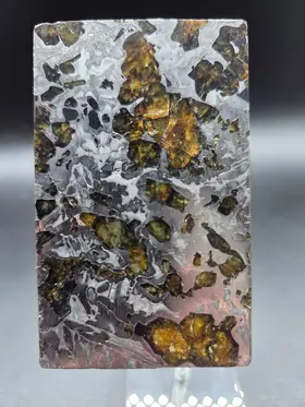 meteorite seymchan pallasite