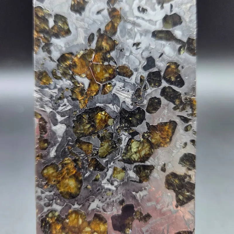 meteorite seymchan pallasite — vue 2 sur 2