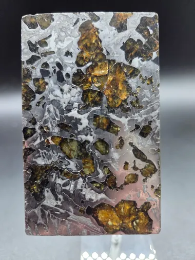 meteorite seymchan pallasite — vue 1 sur 2