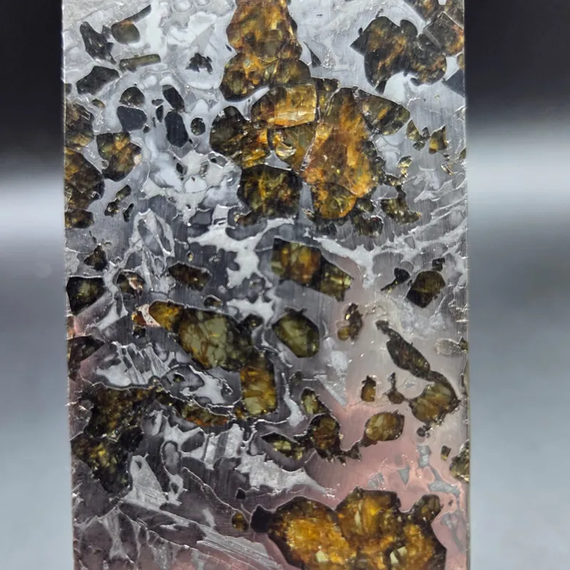 meteorite seymchan pallasite — vue 1 sur 2