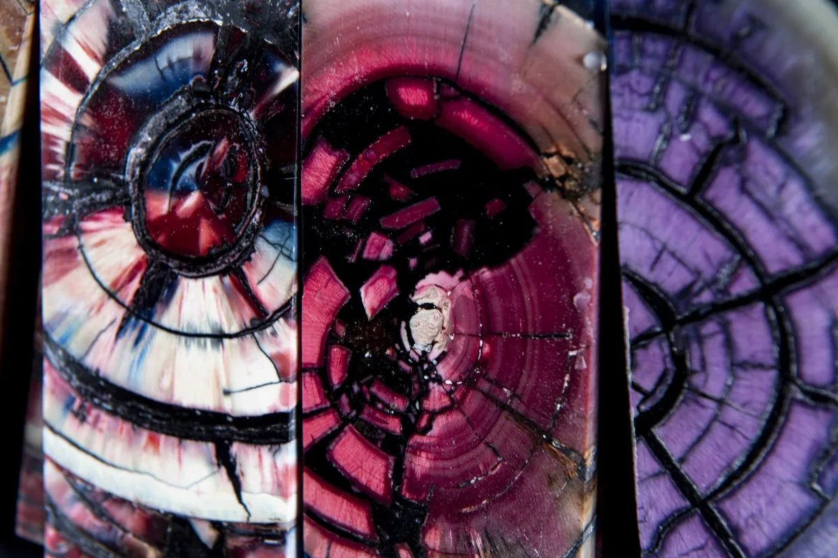 couleurs-moalires-mammouth-stone-and-Bone-3