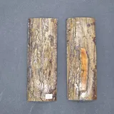 Écaille de mammouth miniature 1