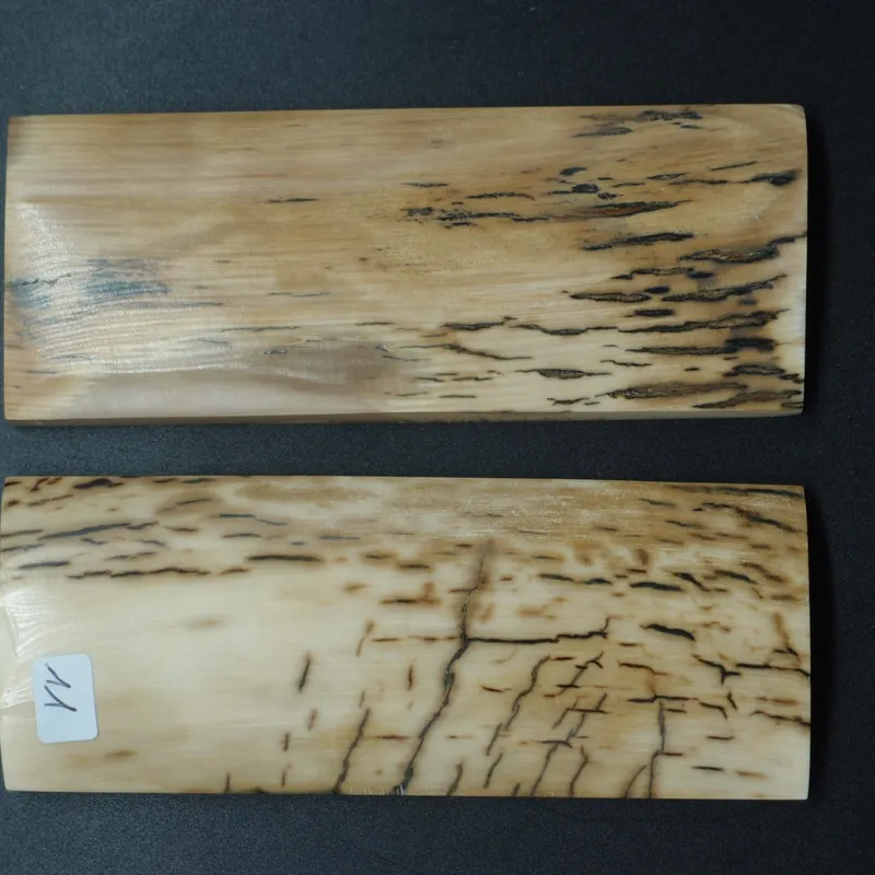 Écaille de mammouth — vue 2 sur 5