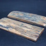 Écaille de mammouth miniature 3