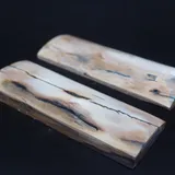 Écaille de mammouth miniature 3
