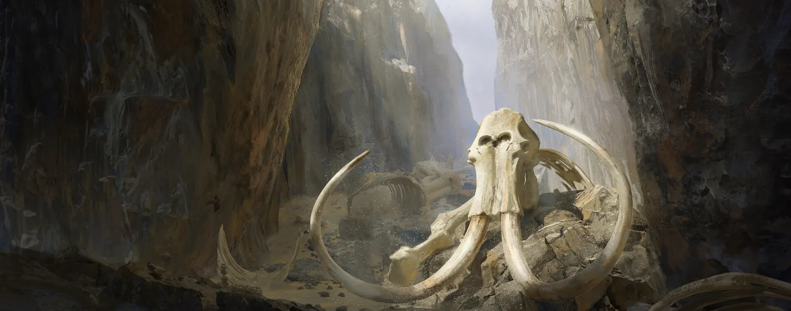 Les spécialistes des matières préhistoriques