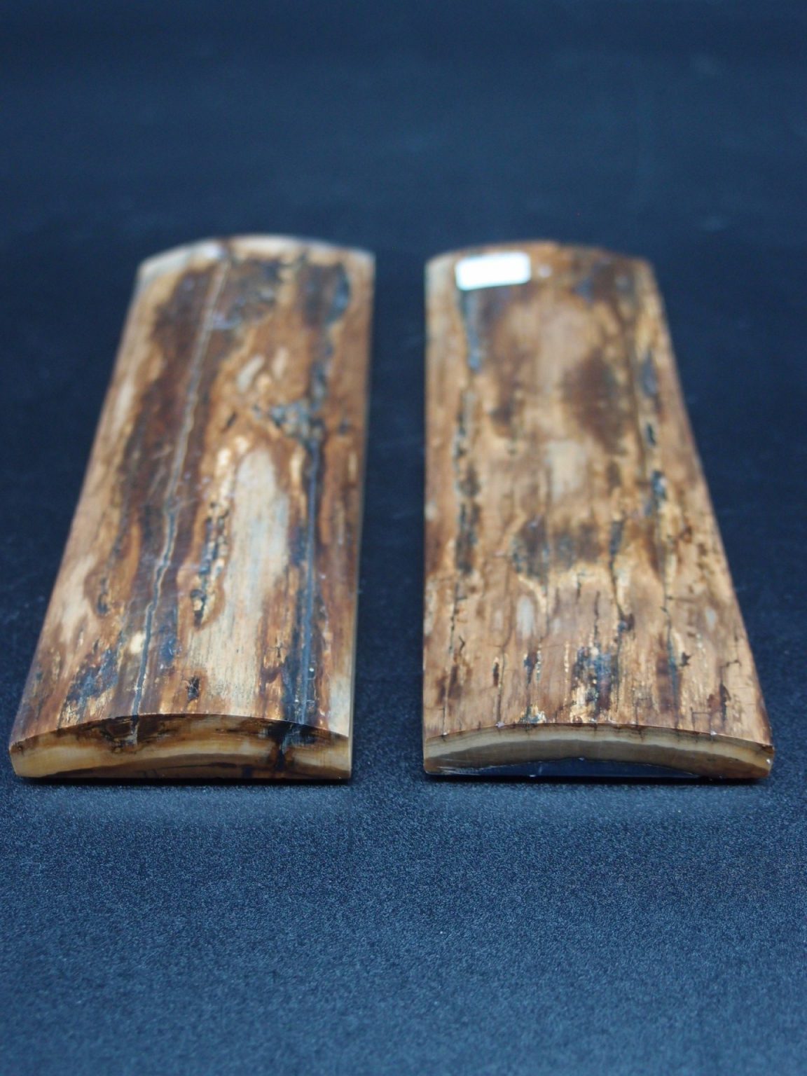 Écaille de mammouth