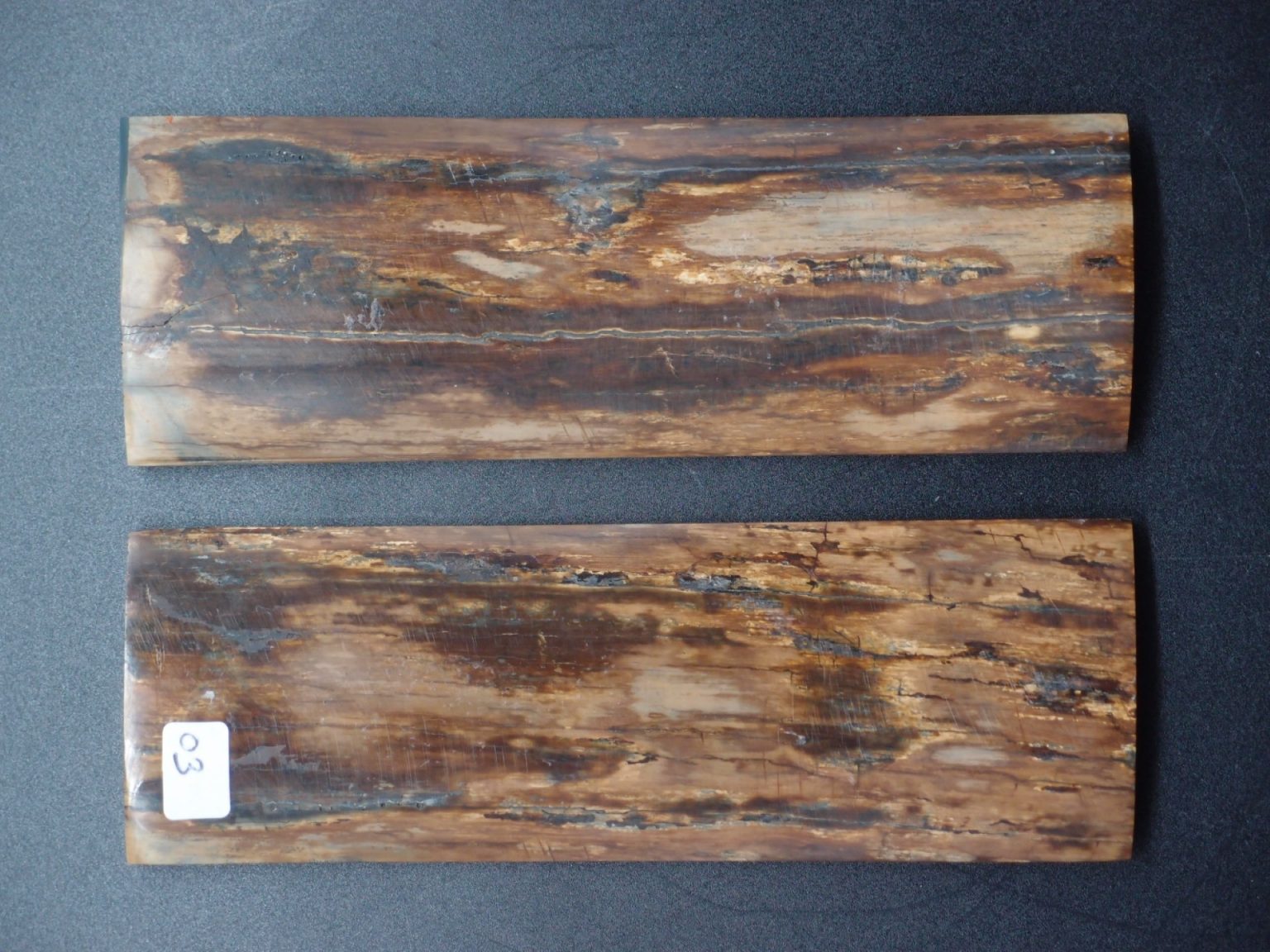 Écaille de mammouth