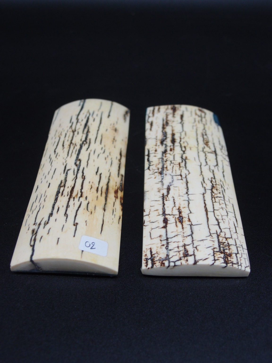 Écaille de mammouth