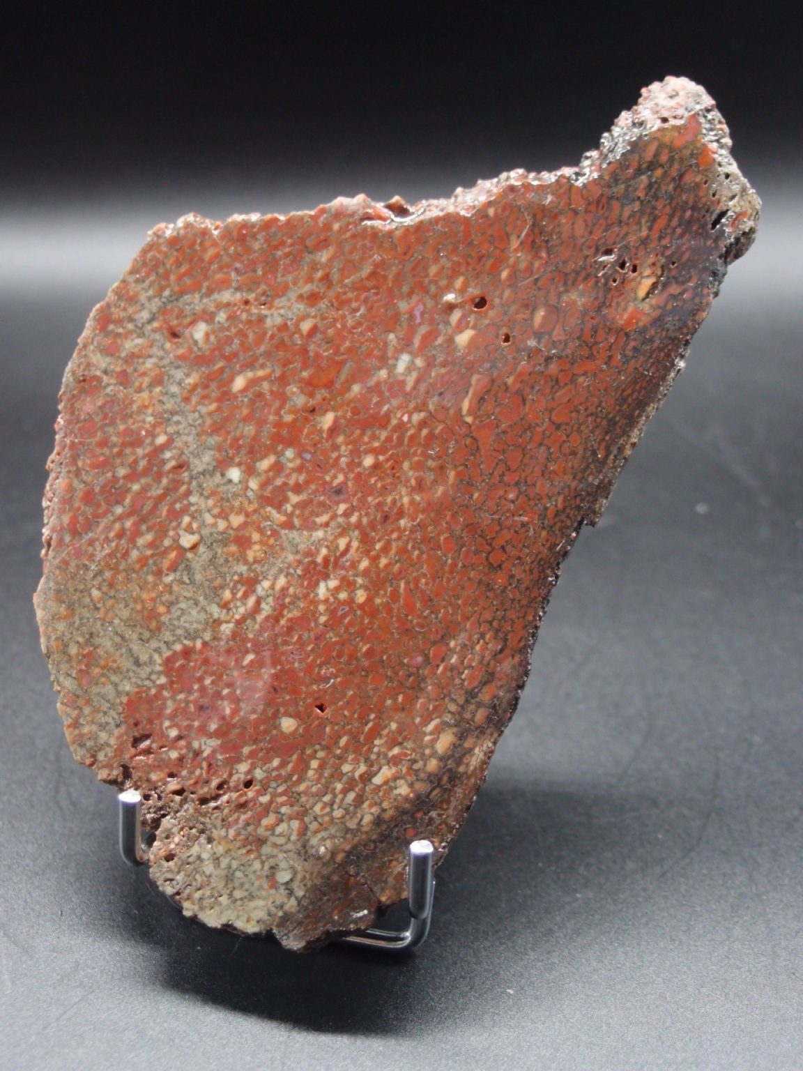 Os de dinosaure rouge