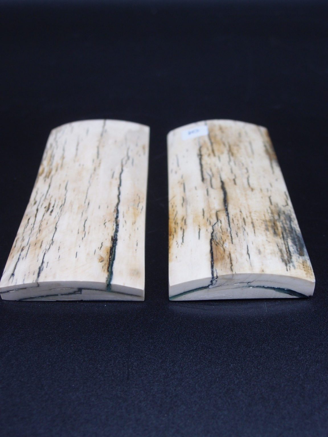 Écaille de mammouth