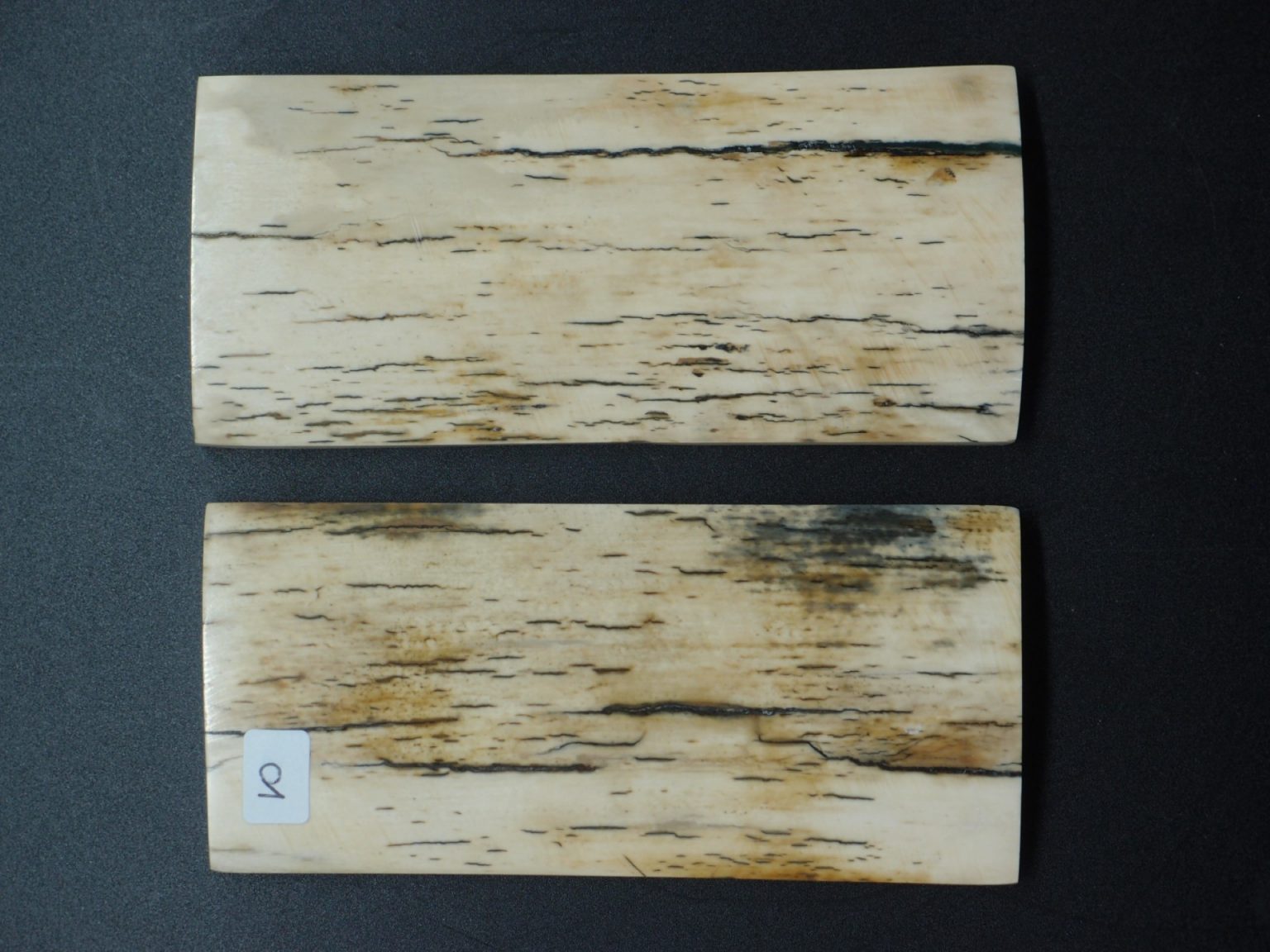 Écaille de mammouth