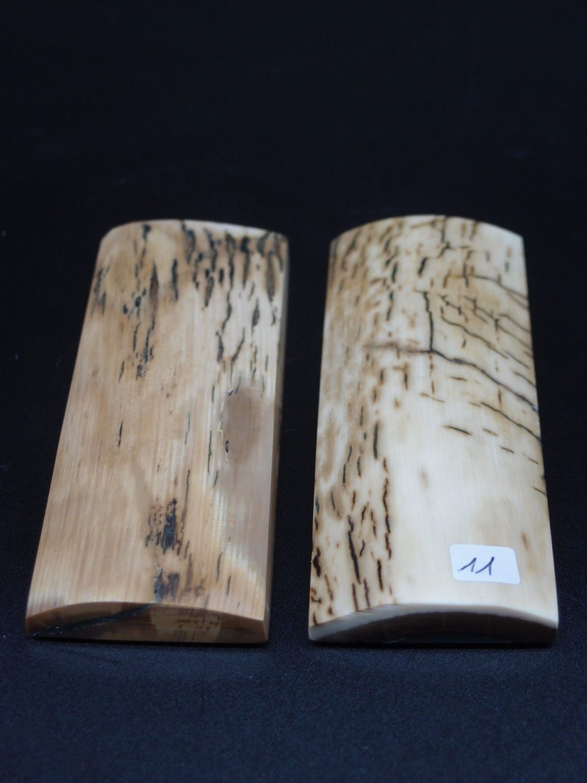 Écaille de mammouth