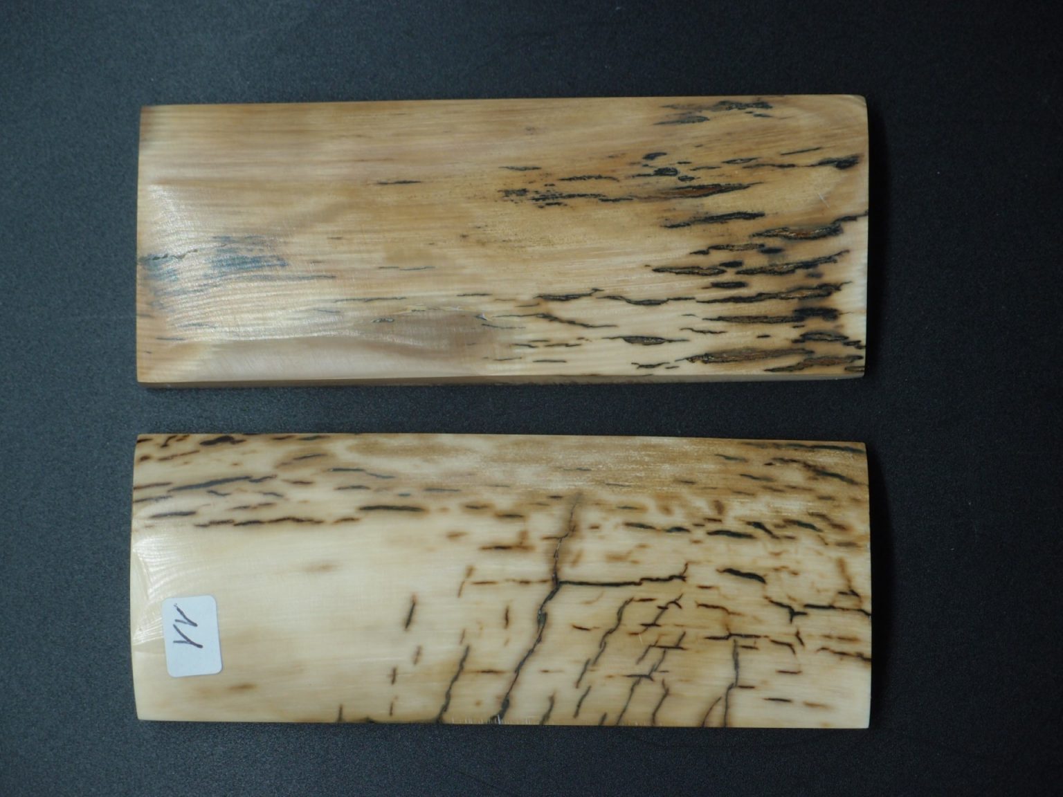 Écaille de mammouth