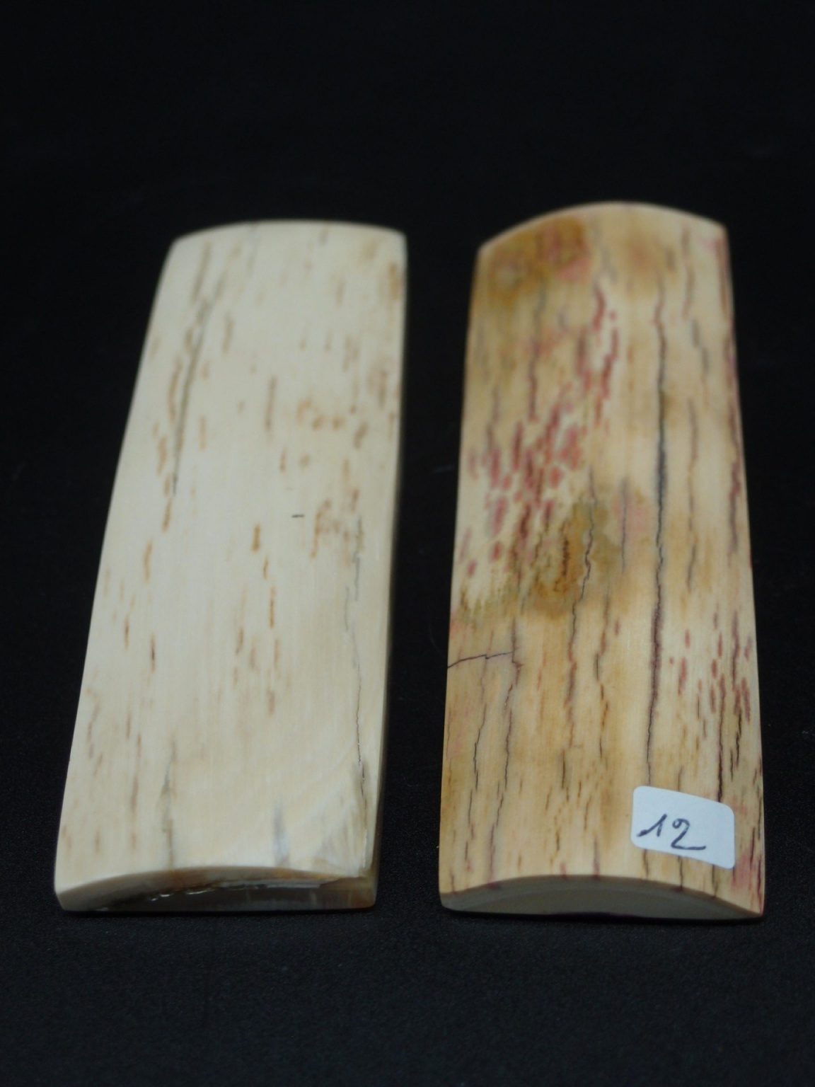 Écaille de mammouth