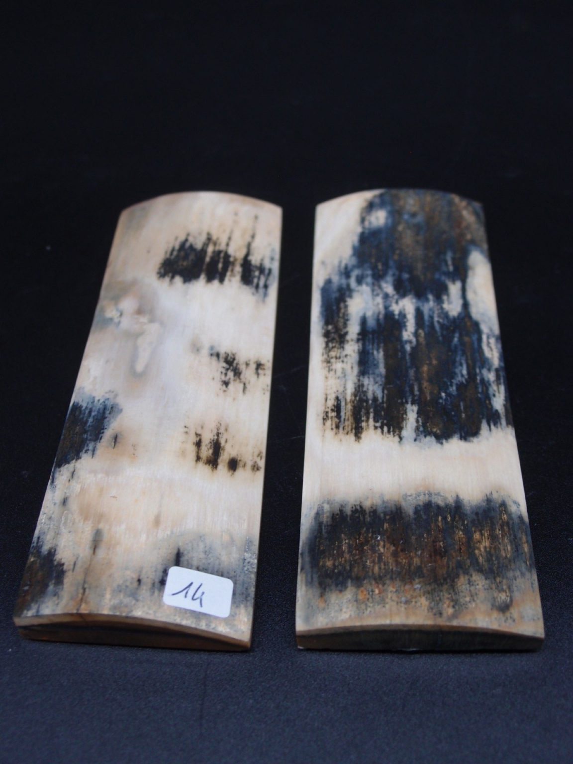 Écaille de mammouth