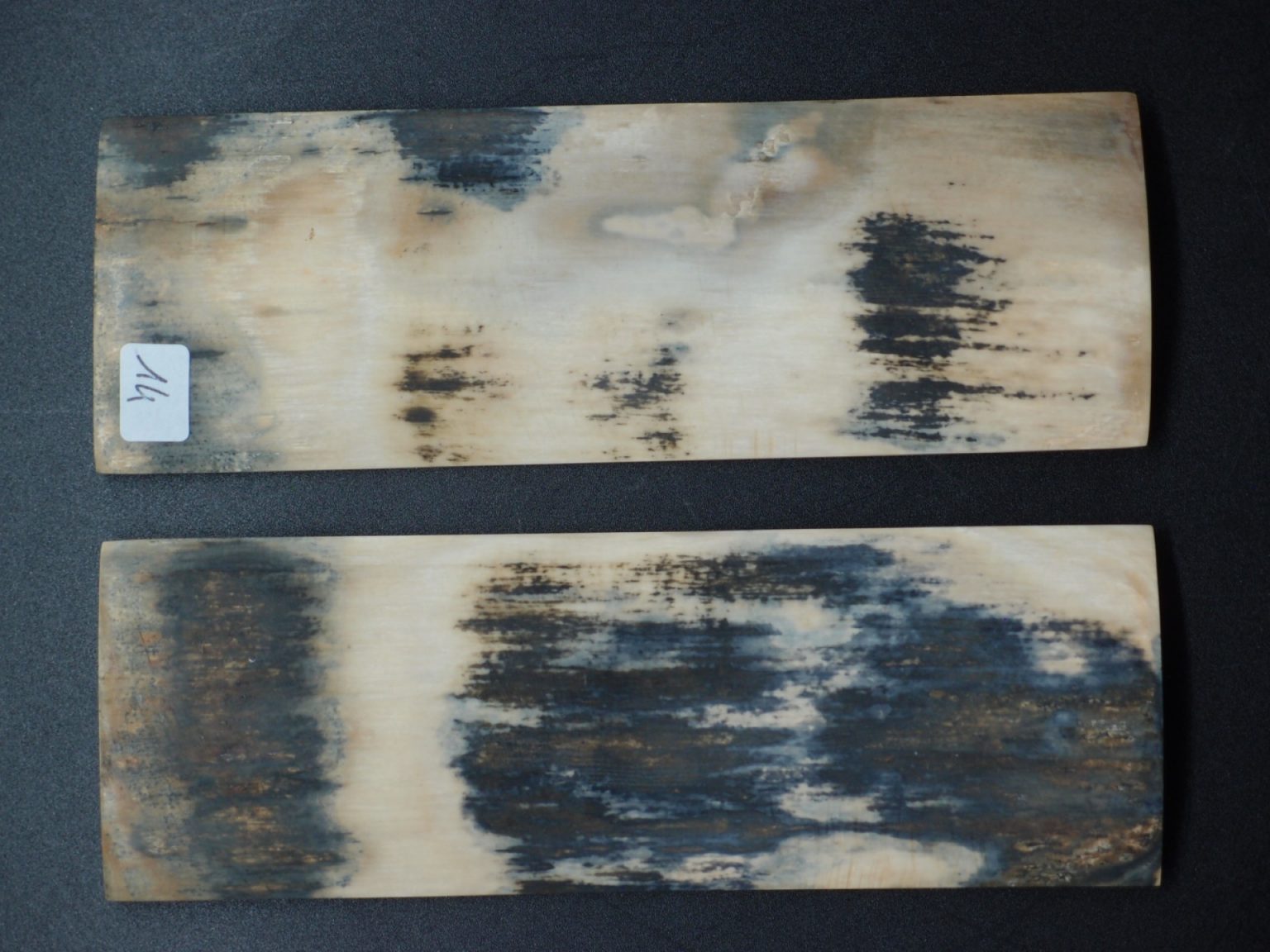 Écaille de mammouth