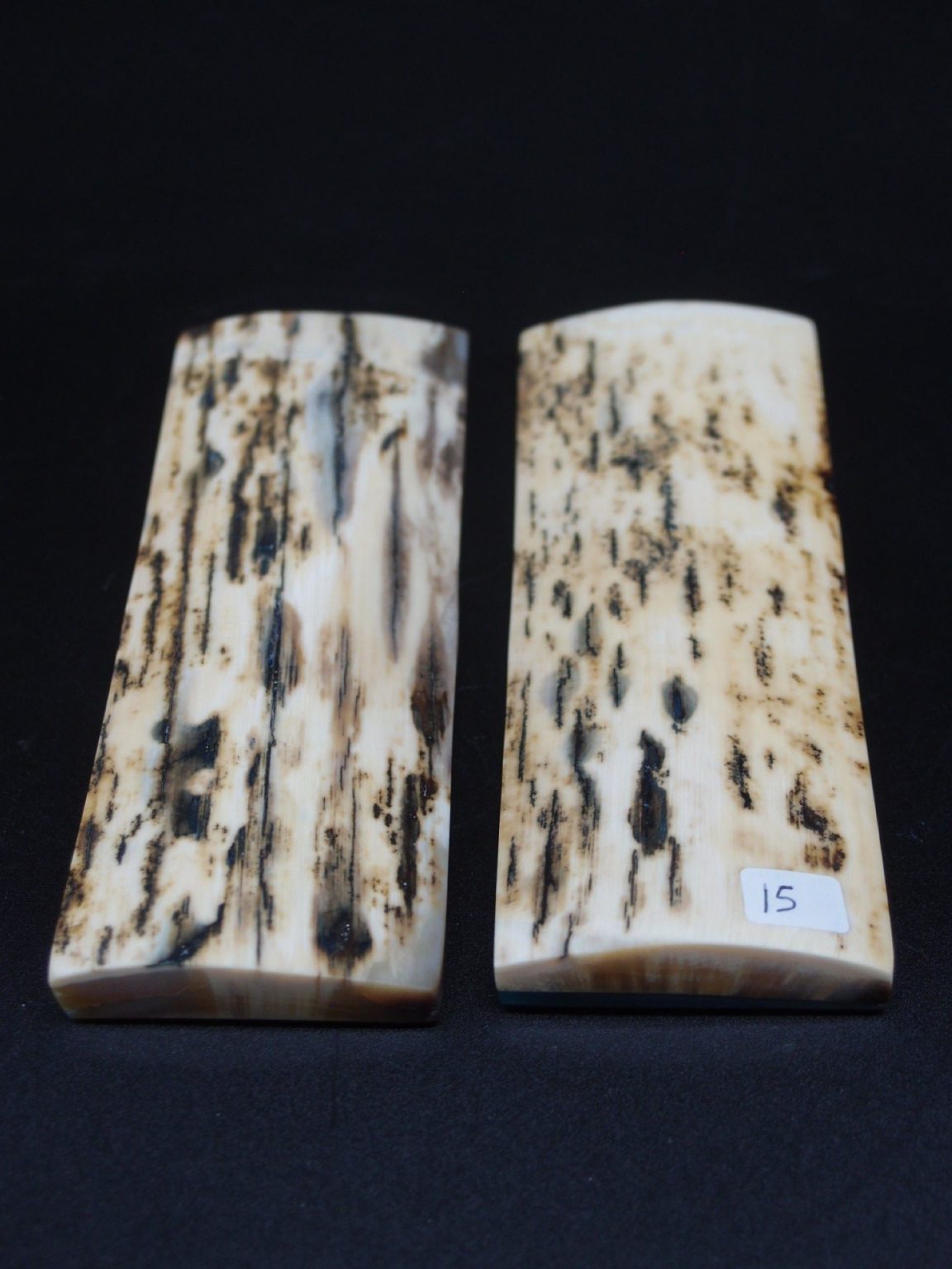 Écaille de mammouth