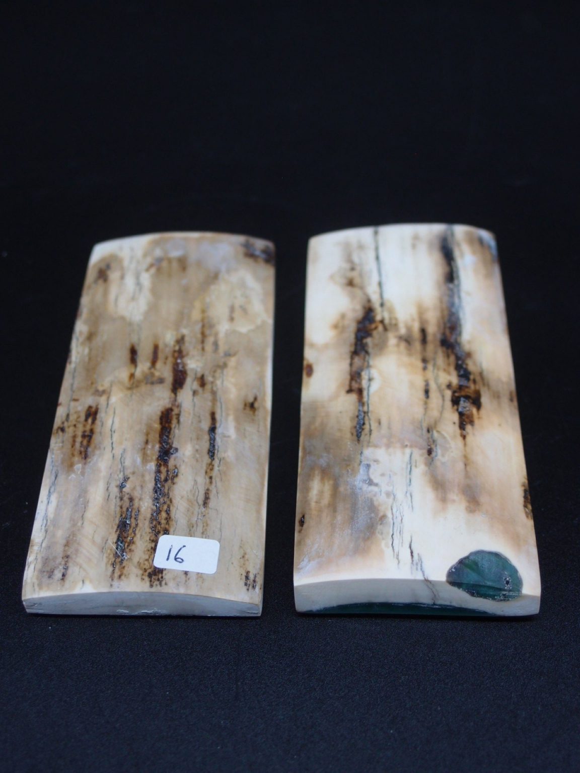 Écaille de mammouth