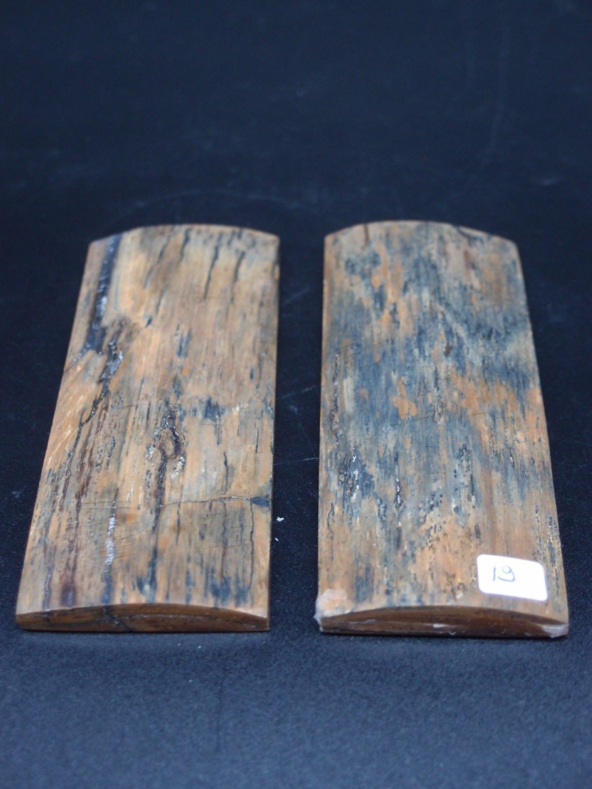 Écaille de mammouth