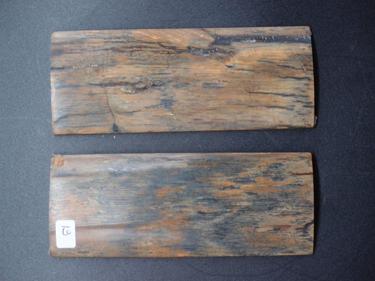 Écaille de mammouth