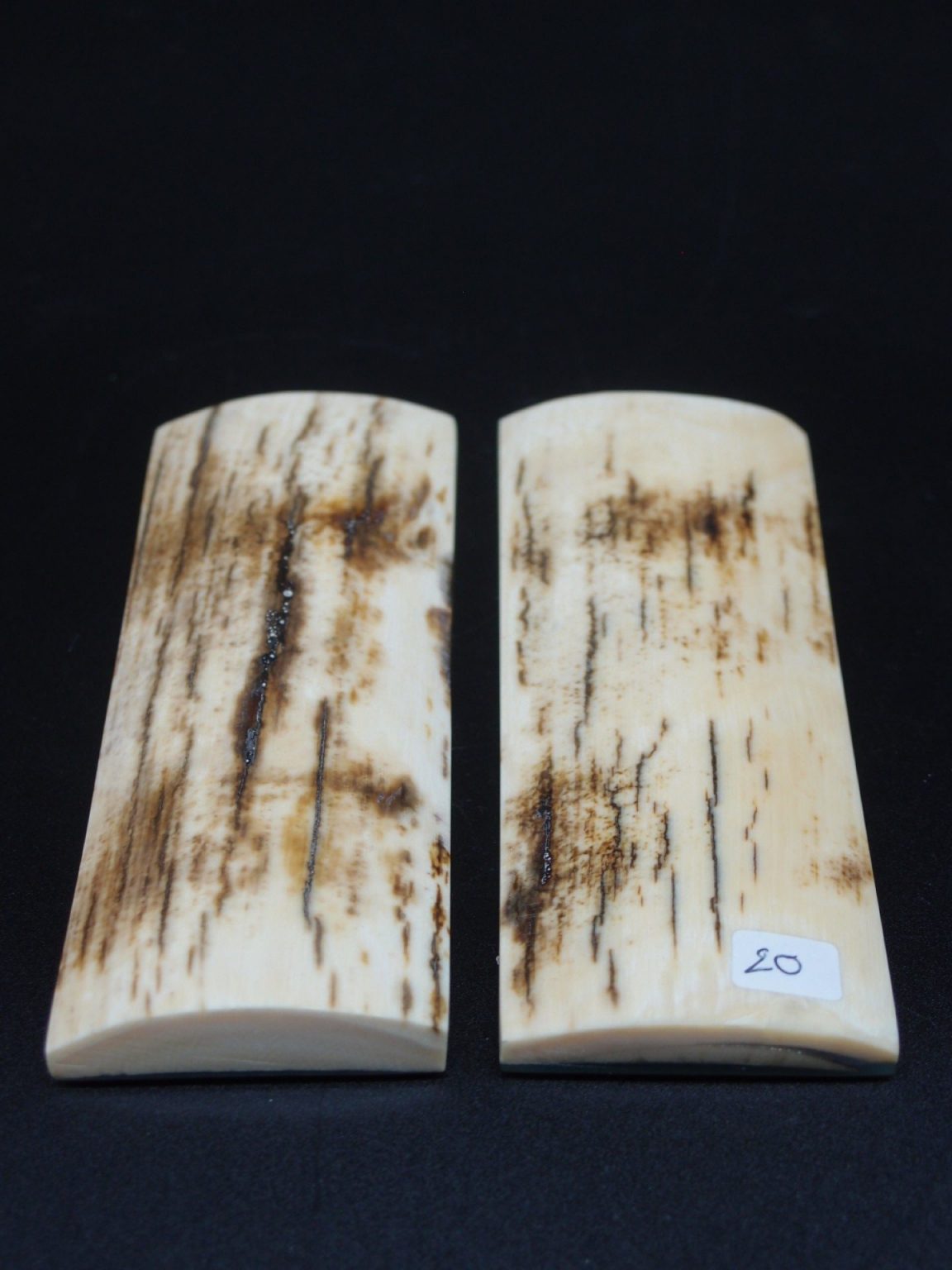 Écaille de mammouth