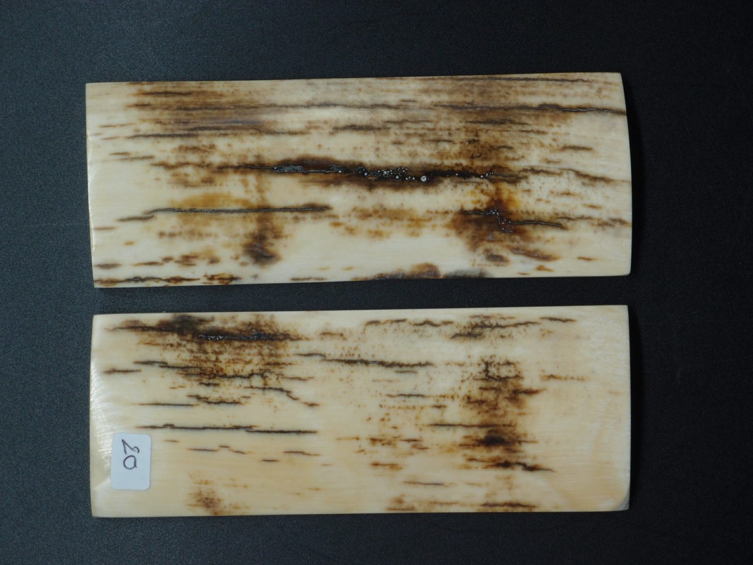 Écaille de mammouth