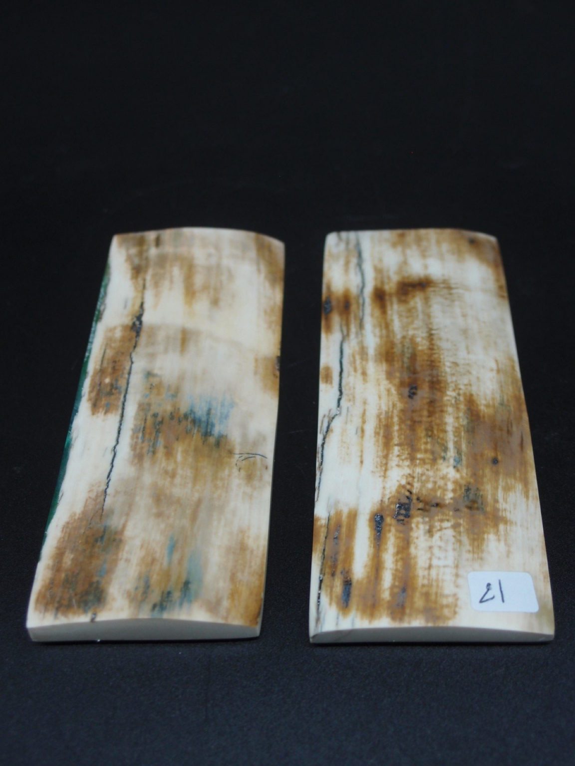 Écaille de mammouth