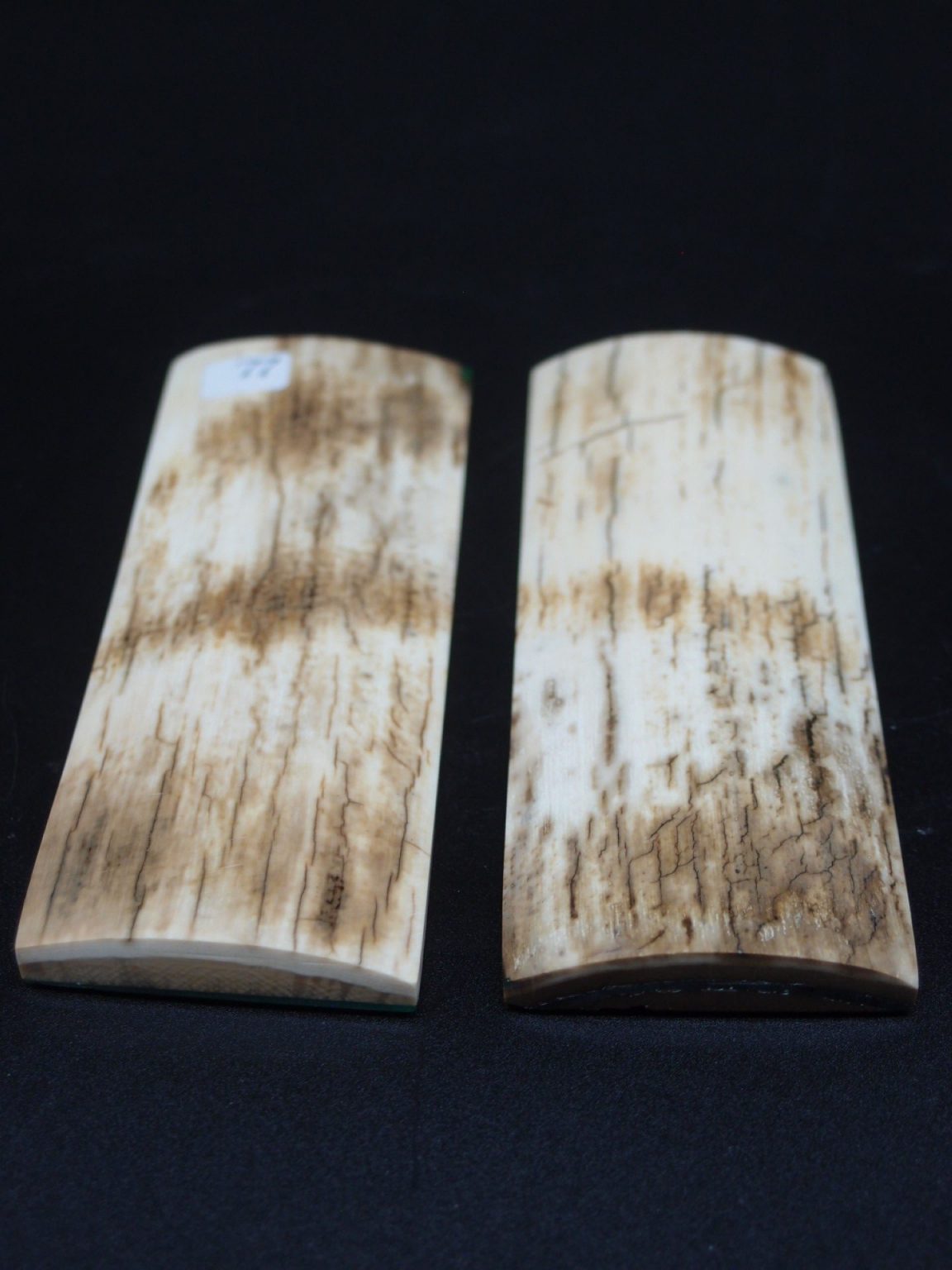 Écaille de mammouth