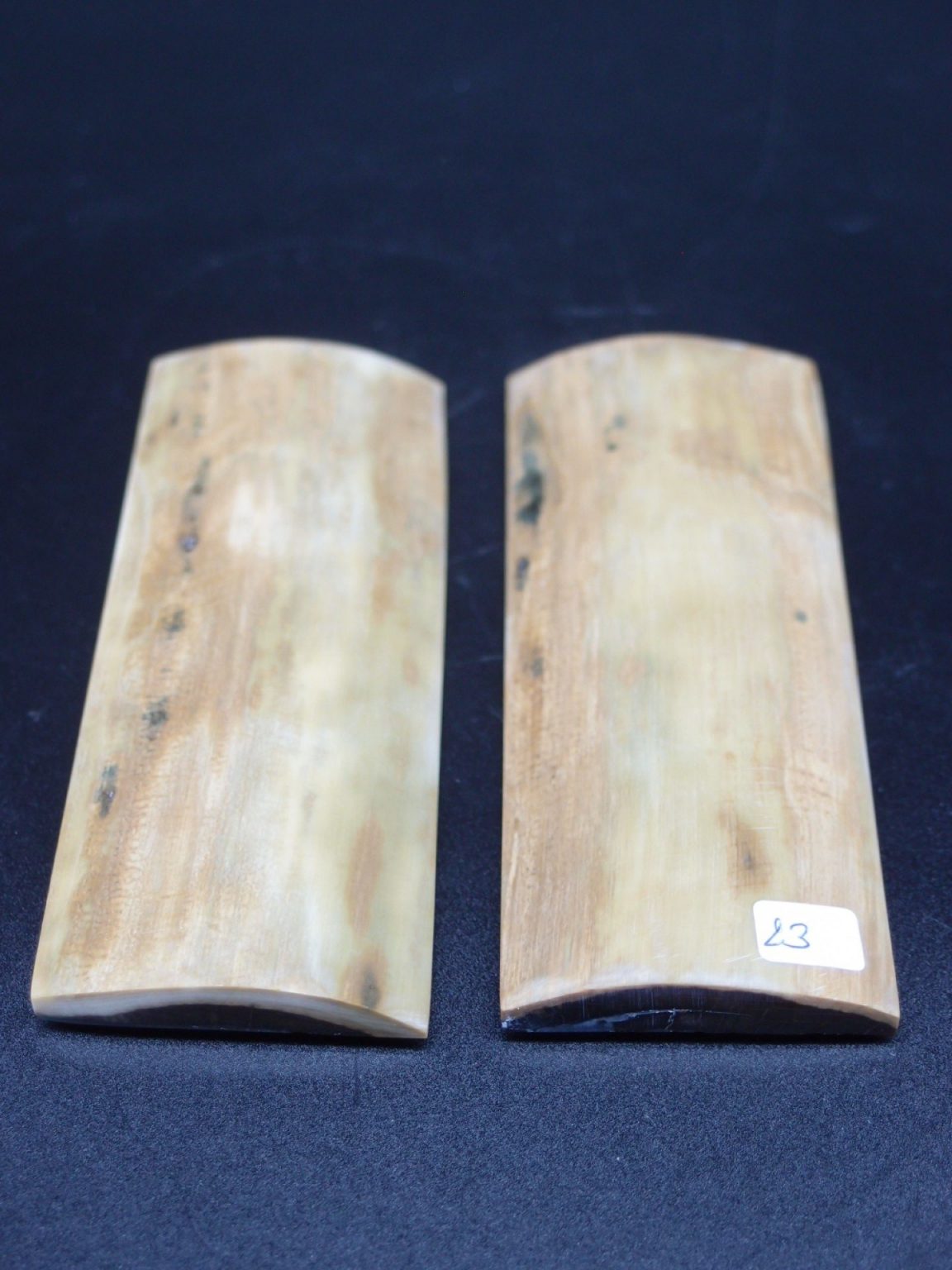 Écaille de mammouth