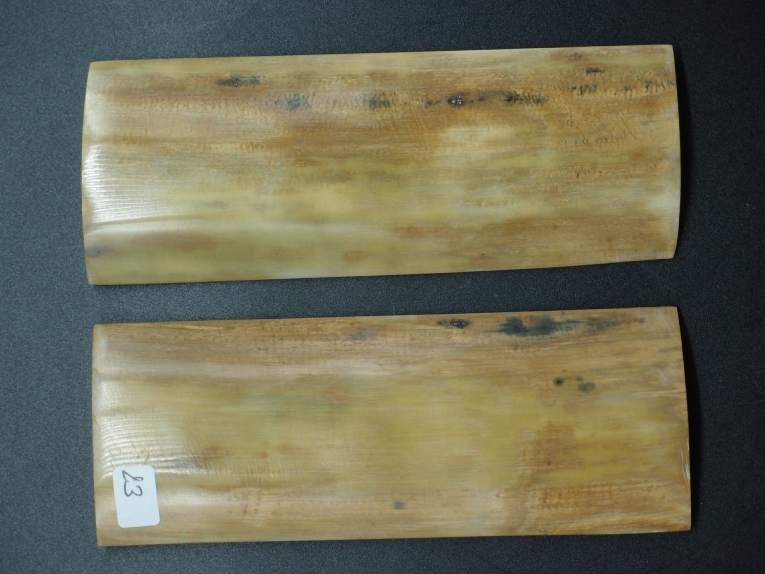 Écaille de mammouth