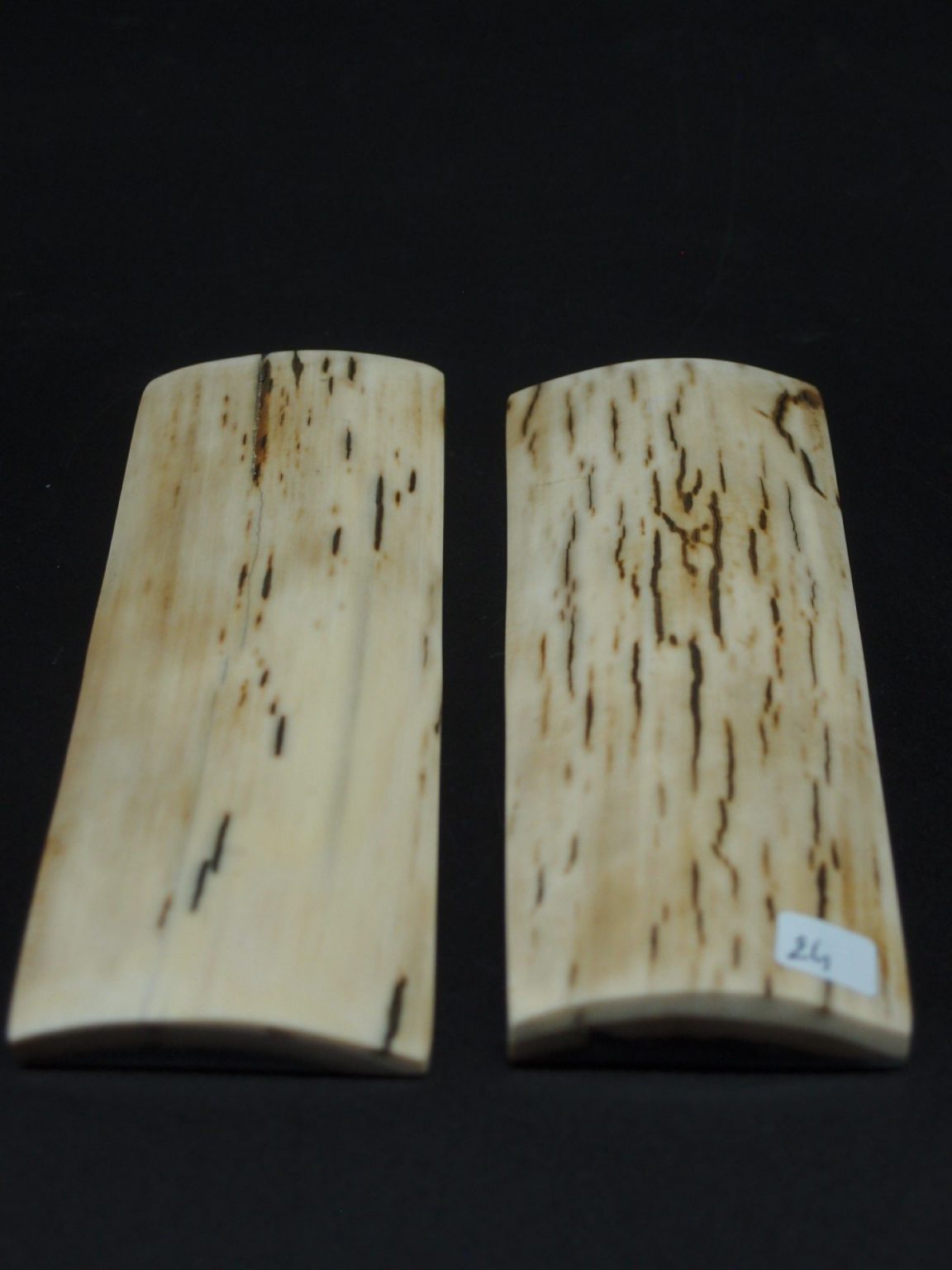 Écaille de mammouth