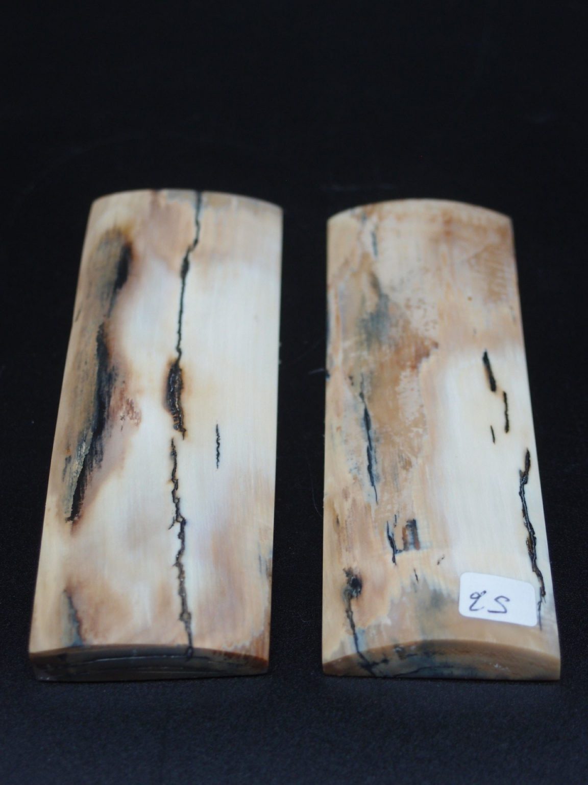 Écaille de mammouth