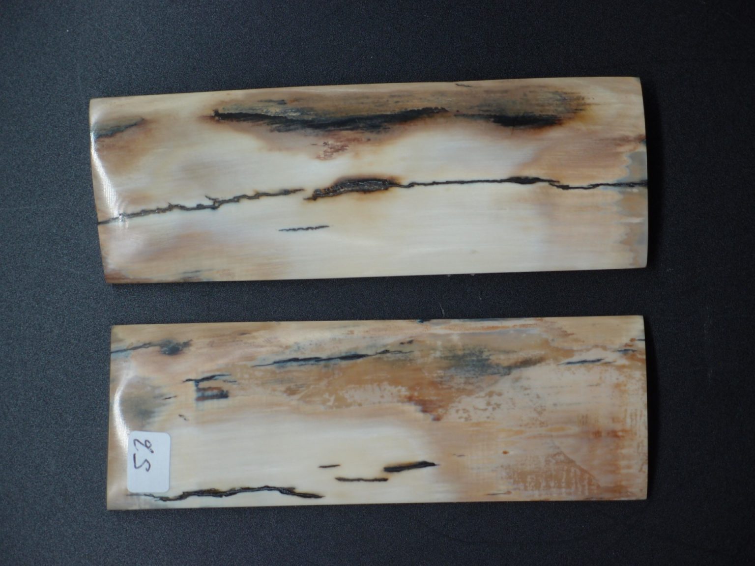 Écaille de mammouth