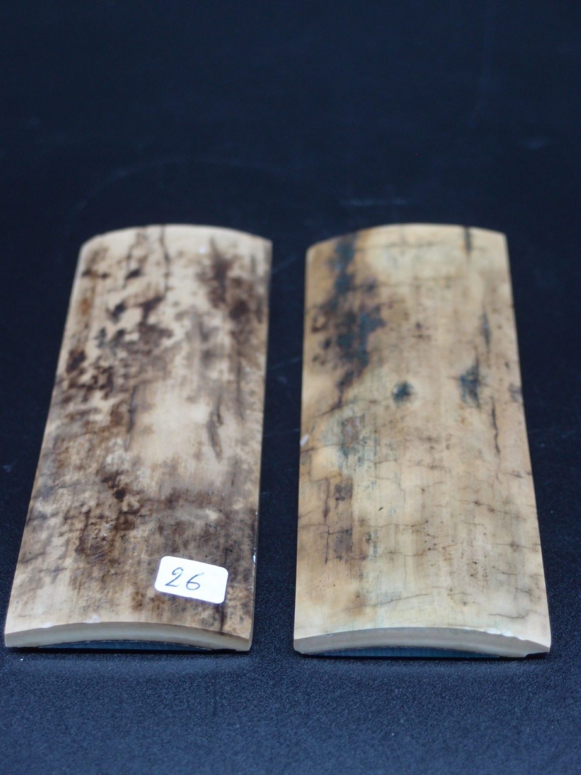 Écaille de mammouth