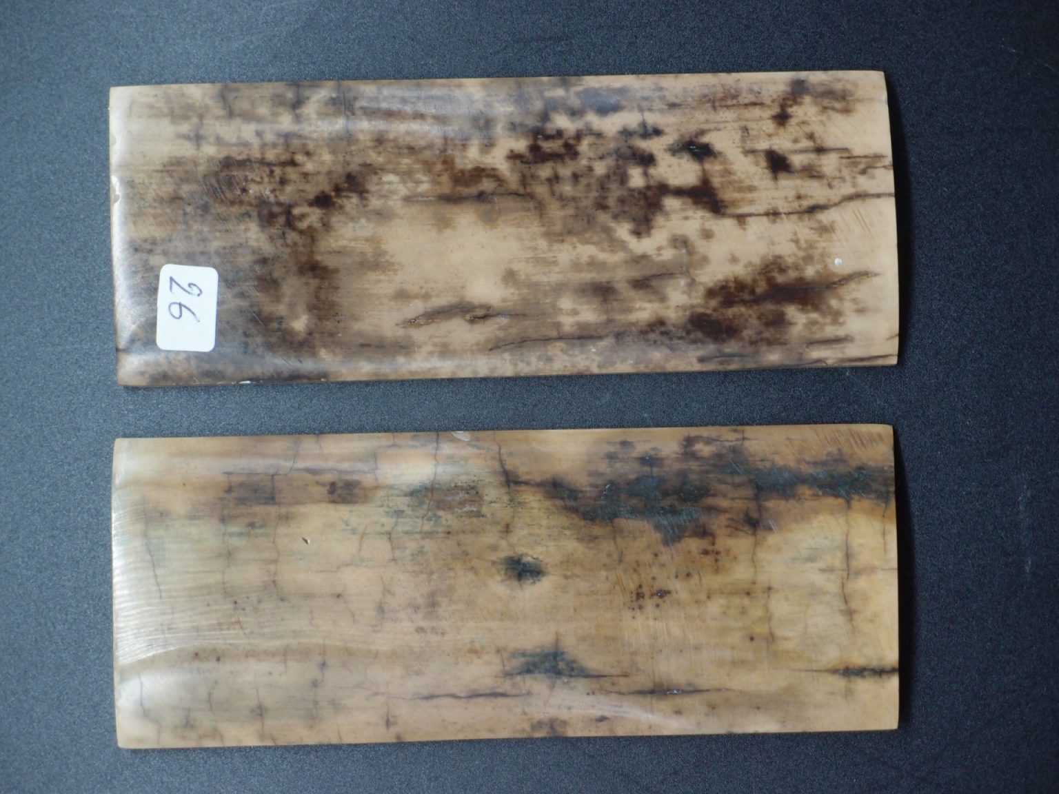 Écaille de mammouth