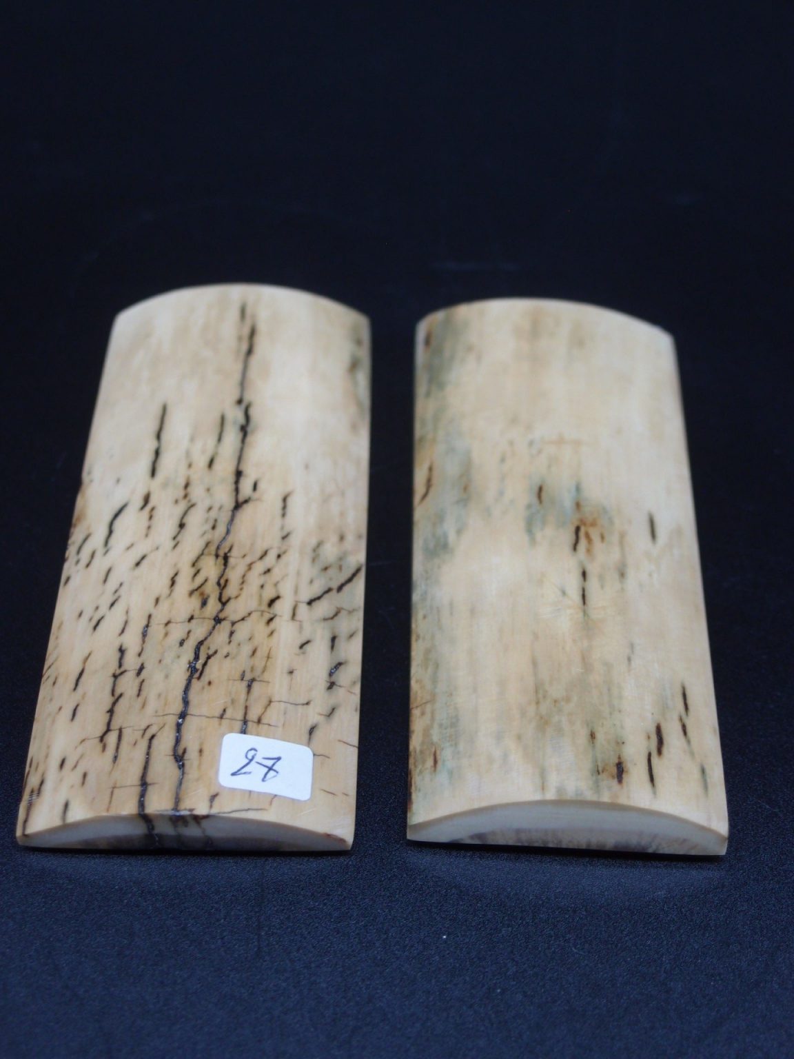 Écaille de mammouth