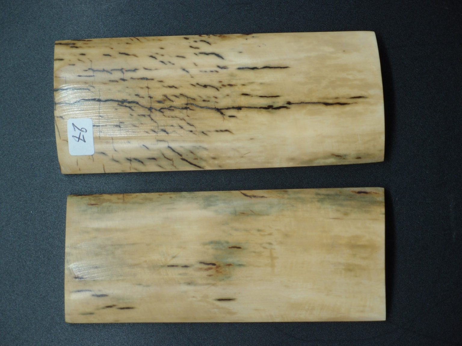 Écaille de mammouth