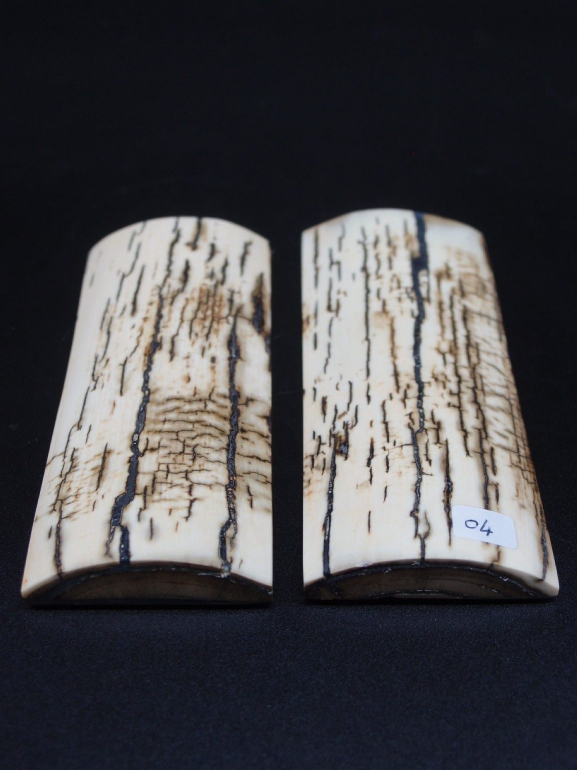 Écaille de mammouth