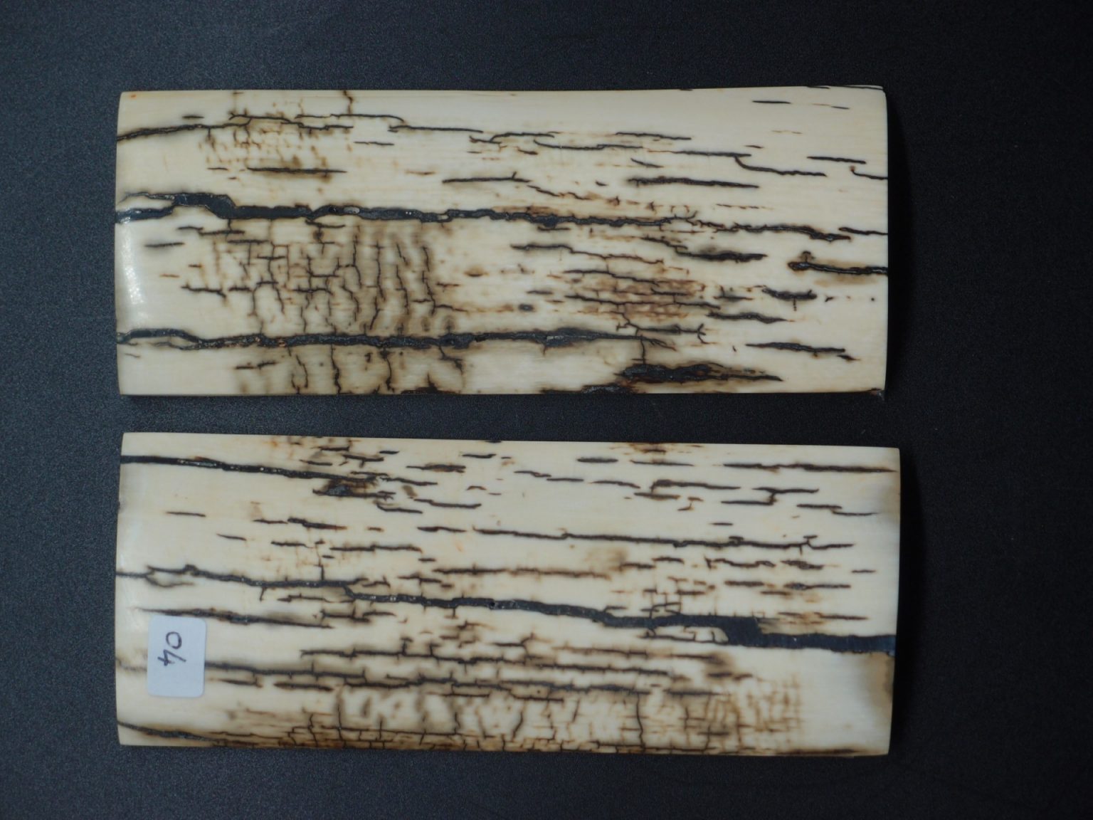 Écaille de mammouth