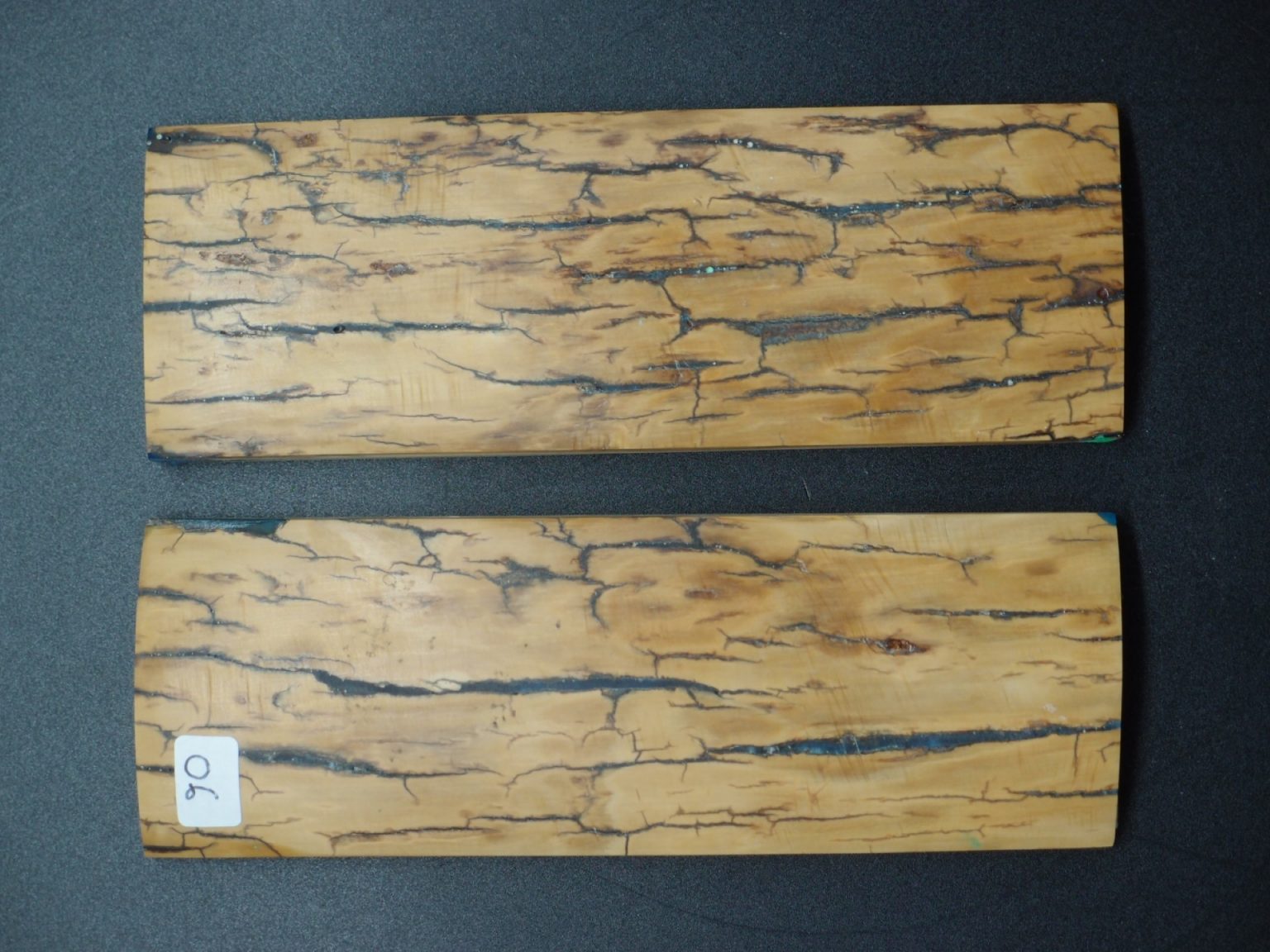 Écaille de mammouth